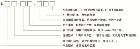 DZW系列-多回转智能型(图1)